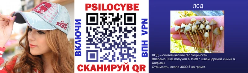Галлюциногенные грибы мухоморы  Яхрома 
